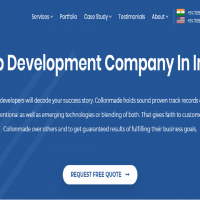 Collonmade Web Development Company in India
