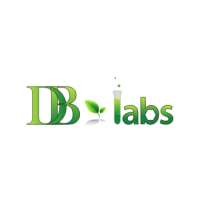 DB Labs