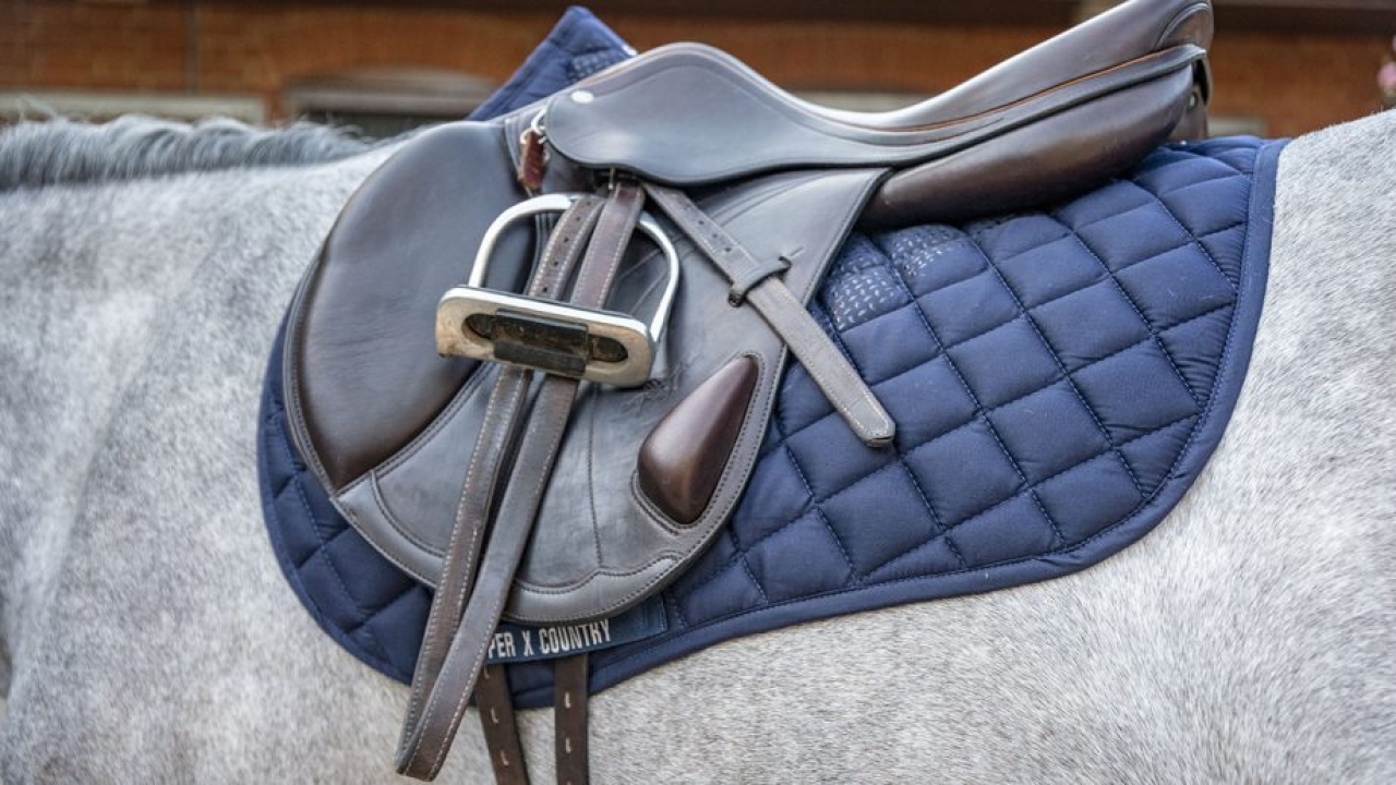 How to buy the right fitted English Horse Saddle for sale online