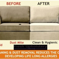 Fresh Upholstery Cleaning Hobart