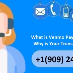 What is Venmo Payment Pending? Why is Your Transaction Stuck?