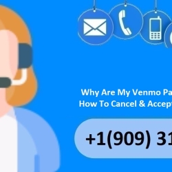 Why Are My Venmo Payments Pending? How To Cancel & Accept Venmo Payment?