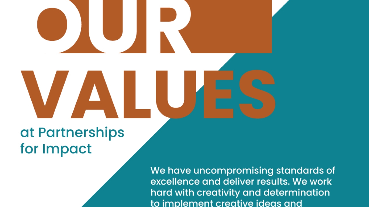 Our values at Partnerships for Impact