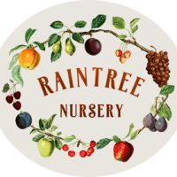 Raintree Nursery