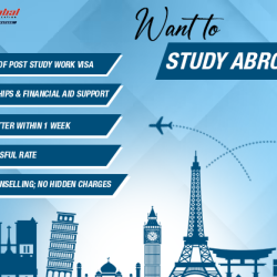 A Guide to Choose Abroad Consultancies in Delhi